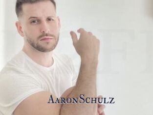 AaronSchulz