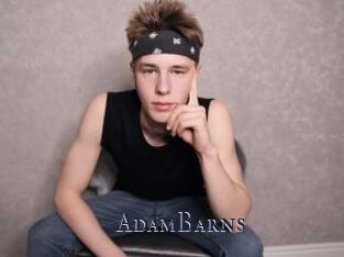 AdamBarns