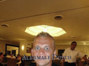 Alfamale_Dutch