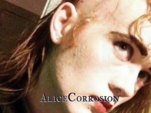 AliceCorrosion