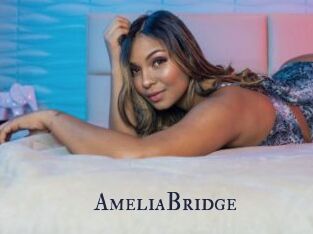 AmeliaBridge