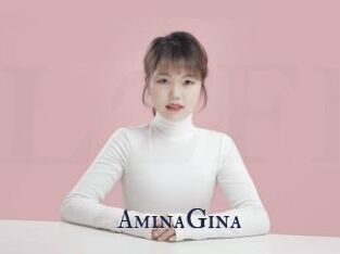 AminaGina