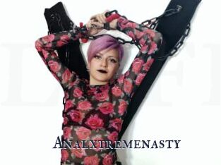 Analxtremenasty