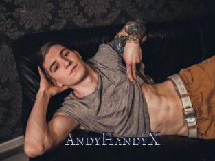 AndyHandyX