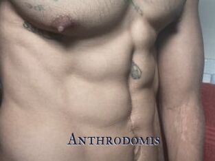 Anthrodomis