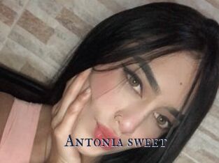 Antonia_sweet