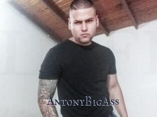 AntonyBigAss