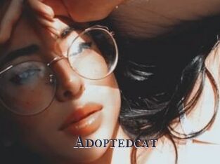 Adoptedcat