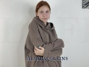 Alodiacollins