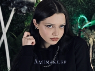 Aminaklep