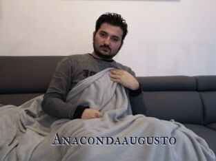 Anacondaaugusto