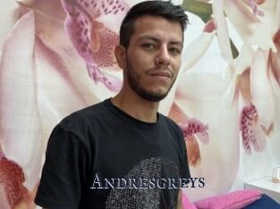 Andresgreys