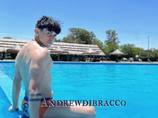 Andrewdibracco