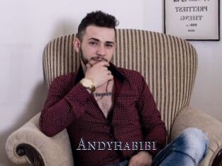 Andyhabibi