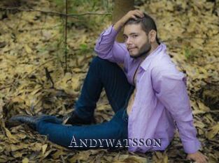 Andywatsson