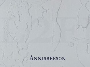 Annisbeeson