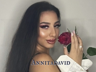 Annitadavid