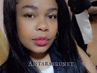 Antarabrunet