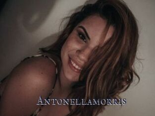 Antonellamorris