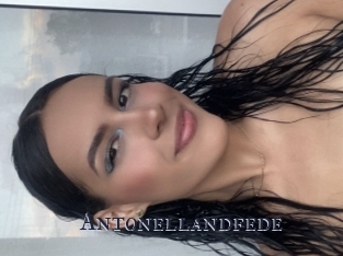 Antonellandfede