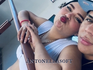 Antonellasoft