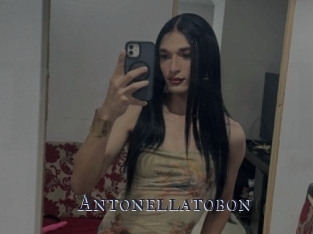 Antonellatobon