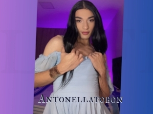 Antonellatobon