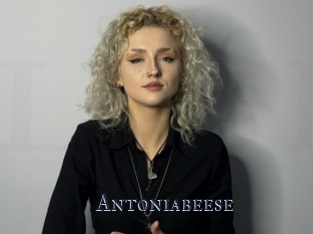 Antoniabeese