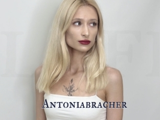 Antoniabracher