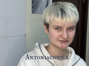 Antoniacowick