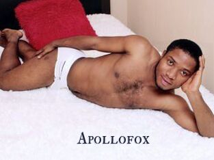 Apollofox