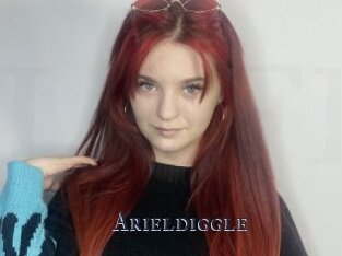Arieldiggle