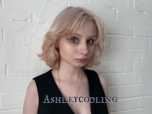 Ashleycodling