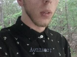 Auzzie23