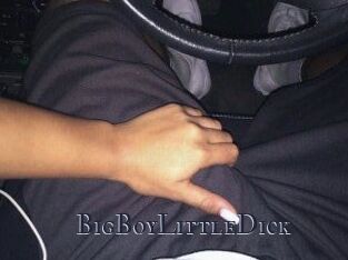 BigBoyLittleDick