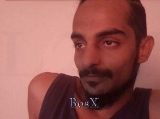 BobX