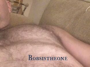 Bobsistheone