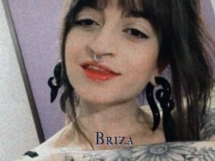 Briza