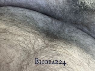 Bigbear24