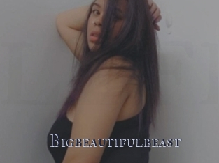 Bigbeautifulbeast