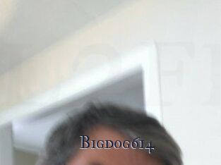 bigdog614 Links 2 Freeporn