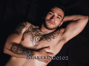 Blakeking0102