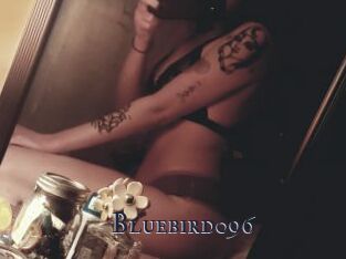 Bluebird096