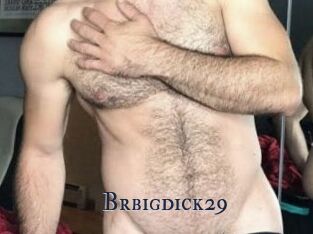 Brbigdick29