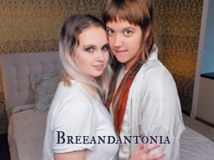 Breeandantonia