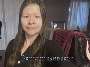 Bridget_banderro