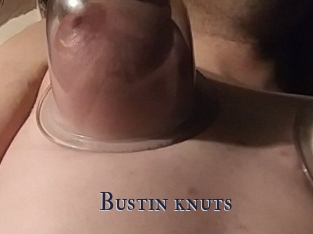 Bustin_knuts