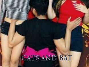 CATS_AND_BAT