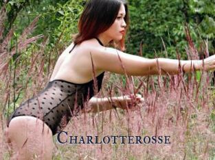 Charlotterosse