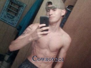 Cowboy201